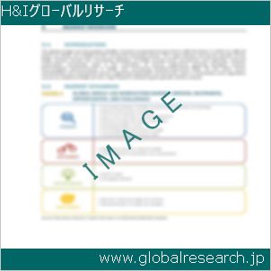 グローバルリサーチ調査レポートのイメージ
